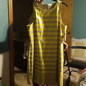 Cremieux Dress size 14